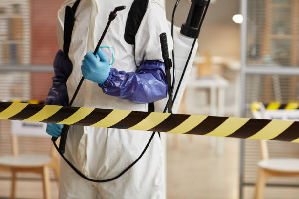 Professional Sewage Cleanup technician working in Mount Pleasant, MI